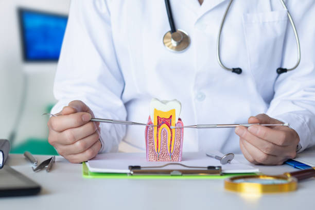 Best Emergency Dental Extractions in Edinboro, PA